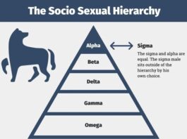 The New Socio-Sexual Hierarchy: How Sigma Males Are Revolutionizing Traditional Categories